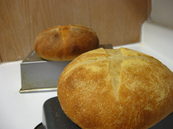 Bread Boules