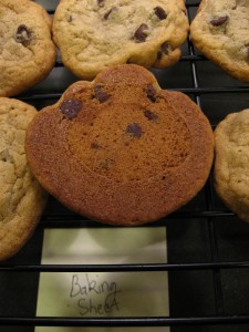 Cookies baked on baking sheet